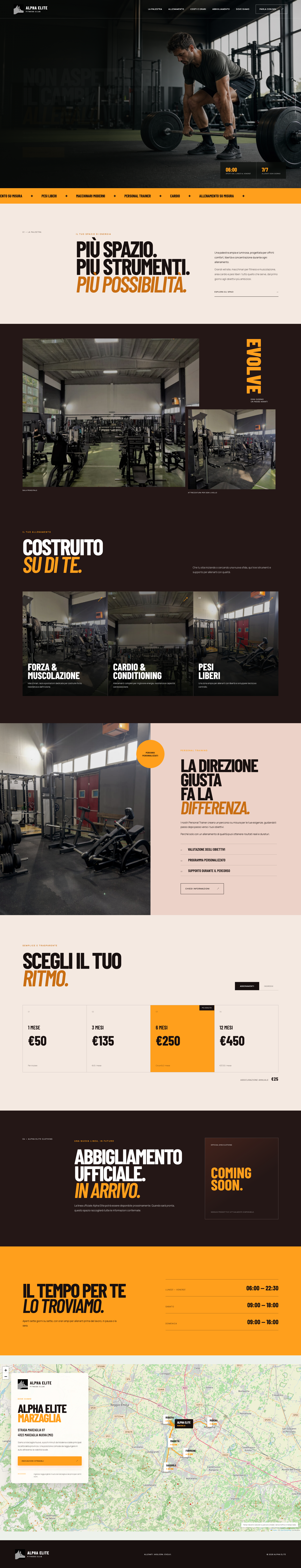 Project preview: Alpha Elite Fitness Club